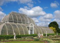 Jardins botaniques royaux de Kew 