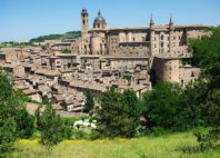 Urbino 