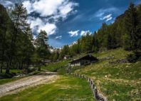 Valcamonica 