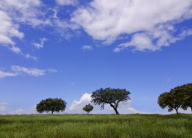 Alentejo : offrez-vous un séjour dans cette merveilleuse région