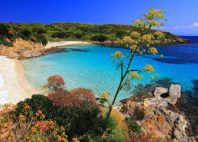 Asinara 