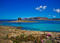 Asinara 