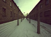 Auschwitz 