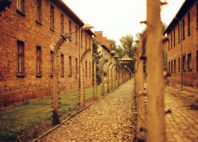 Auschwitz 