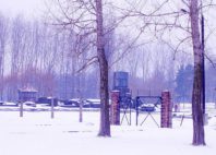 Auschwitz 