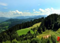 Bregenz 