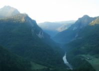 Canyon Tara 