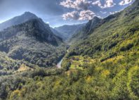 Canyon Tara 