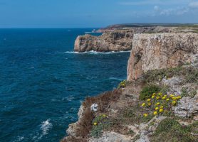 Cap Saint-Vincent : une découverte de rêve