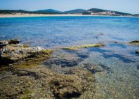 Cap-Serrat 