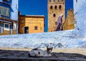 Chefchaouen : découvrez cette perle bleue