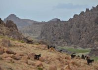 Djebel Sirwa 