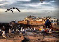 Essaouira 