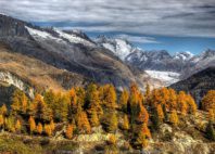 Glacier d'Aletsch 