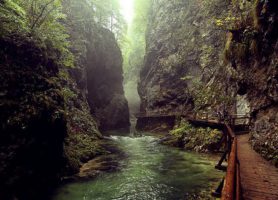 Gorges de Vintgar : au cœur d’un exceptionnel don de la nature