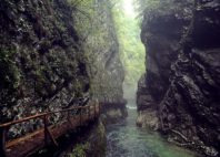 Gorges de Vintgar 