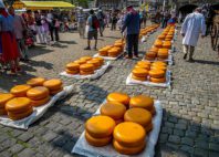 Gouda 