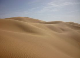 Grand Erg occidental : au cœur d’une splendide mer de sable