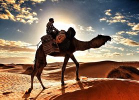 Ksar Ghilane : ce désert vous réserve une exceptionnelle balade