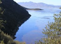 Lac Ichkeul 