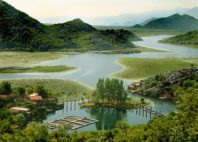 Lac Skadar 
