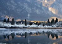 Lac de Bohinj 