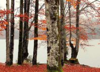 Lac de Bohinj 