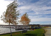 Lac de Neusiedl 