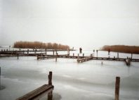Lac de Neusiedl 