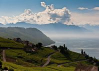 Lavaux 