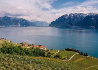 Lavaux 