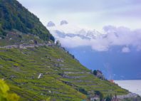Lavaux 