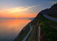 Lavaux 
