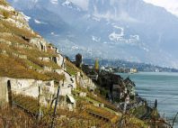 Lavaux 