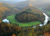 Les Ardennes 