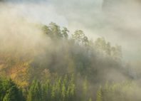 Les Ardennes 