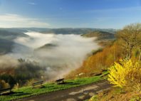 Les Ardennes 