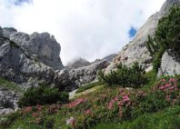 Massif du Dachstein 