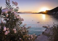 Neum 