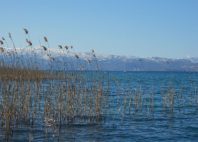 Ohrid 