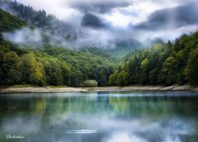 Parc national de Biogradska Gora 