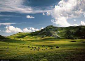 Parc national de Mavrovo : le plus grand parc de la Macédoine