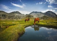 Parc national de Pirin 