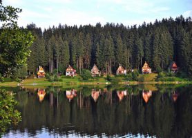 Parc national de Šumava : une extraordinaire forêt aux mille paysages