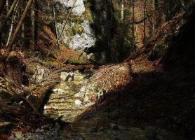 Parc national du karst de Slovaquie : un site tout en splendeur