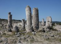 Pobitite Kamani 