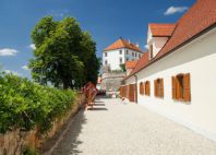 Ptuj 