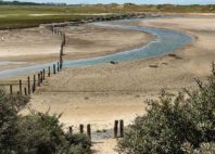 Réserve naturelle Het Zwin 