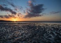 Réserve naturelle Het Zwin 