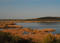 Réserve naturelle de Srébarna 